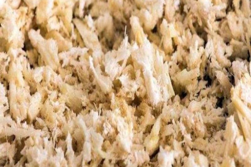 PP电子(中国)有限公司官网