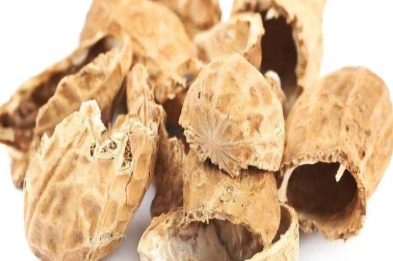 PP电子(中国)有限公司官网